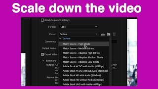 REDUCE VIDEO Size in Premiere Pro