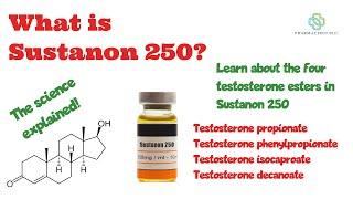 What is sustanon 250 TRT?