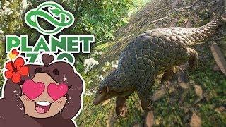 Preparing for PANGOLINS!!  Daily Planet Zoo! • Day 11