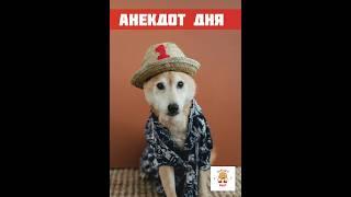 Пацаны в бане #анекдот #смех #юмор #прикол #ржака