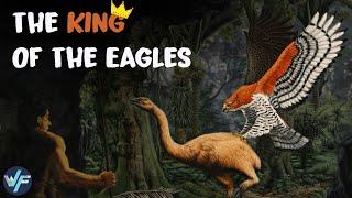 Haast's Eagle - The King of All Eagles