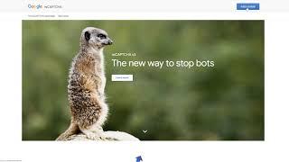 How to Get Public and Private Keys for Google reCAPTCHA