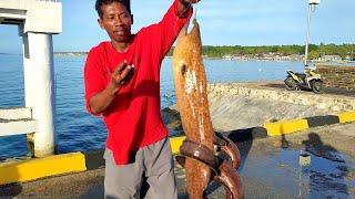 Sensasi mengerikan perlawanan belut laut tali pancing sampai putus berkali-kali, belut size jumbo