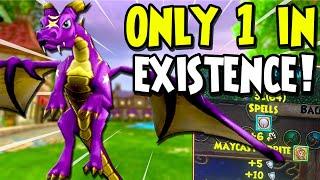 9 Obscure Wizard101 Facts You DON'T Know!