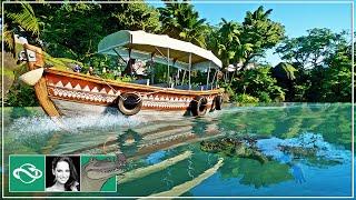  Saltwater Crocodile Island | Safari Boat Ride | Planet Zoo |