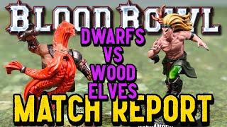 Blood Bowl Match Report - DWARFS vs WOOD ELVES