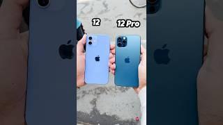 iPhone 12 Vs iPhone 12 Pro || Camera Zoom Test! #shorts