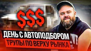 Трупы по верху рынка| День с автоподбором| #саняпоможет