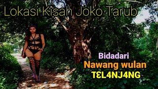 VIRALKAN_Bersama kawanan Kera Keturunan Majapahit hidup di pinggir hutan Joko tarub Tuban.