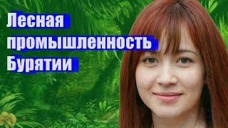 Лесная промышленность Бурятии