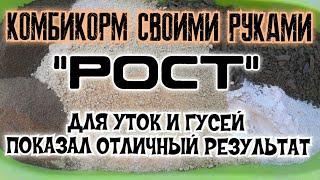 Чем кормить утят Рецепт комбикорма для уток и гусей Рост для уток