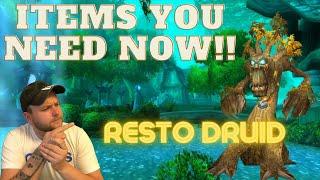 Classic WoW Resto Druid items you want for TBC! BiS Gear to get in Karazhan fast!