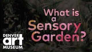 What is a Sensory Garden?