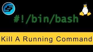 Kill A Running Command (ctrl + c) - Bash Scripting