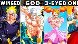 Every Race In One Piece Explained