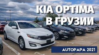 Kia Optima из США. Авто из Грузии. Optima на рынке Caucasus в Грузии. Autopapa. Master Vadya.