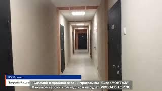 2-евро квартира в ЖК Стрижи в Невском районе СПб