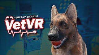VetVR Veterinary Simulator - Trailer #1 Early Access