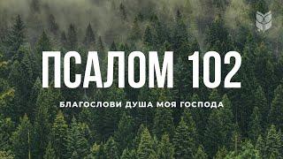 Библия. Псалом 102. Современный перевод Библии #BibleVision