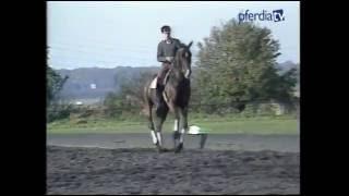 Piaffe & Passage erarbeiten | Intermediaire II | Dr. Reiner Klimke