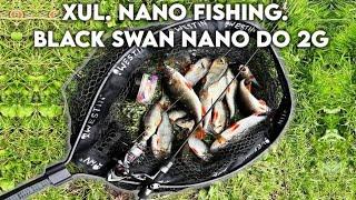 Nano fishing w lipcu , black swan nano do 2g, XUL    Vlog 137