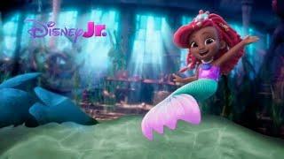 Disney Jr. CEE (Polish) - Screenbug Change + Continuity (June 1st, 2024)