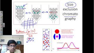 Size exclusion chromatography