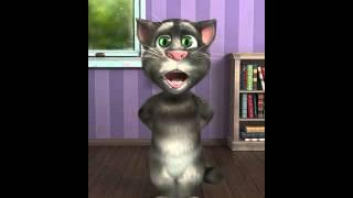 Talking Tom flergin