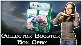 Open a Bloomburrow Collector Box With Me