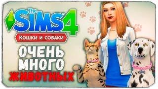 100 ПИТОМЦЕВ - The Sims 4 "Кошки и Собаки" ЧЕЛЛЕНДЖ