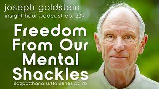 Buddhist Teaching on Perception w/ Joseph Goldstein – Insight Hour Ep.229 – Satipatthana Sutta Pt.26