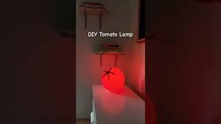 DIY Tomato Lamp  #diy