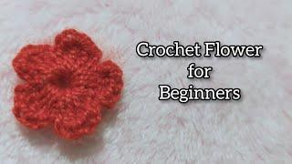 CROCHET FLOWER - Absolute Beginners