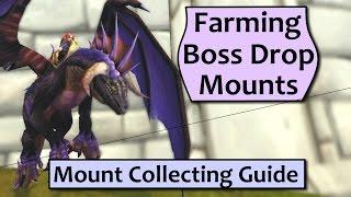 WoW Mount Collecting Guide - Farming Boss Drop Mounts Efficiently