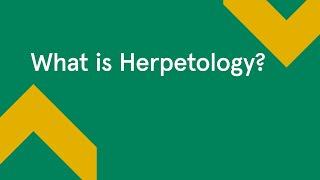 What is Herpetology?