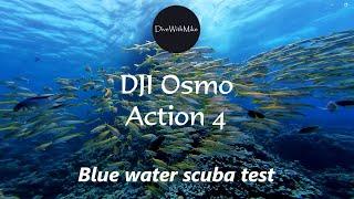 DJI Osmo Action 4 blue water scuba diving review