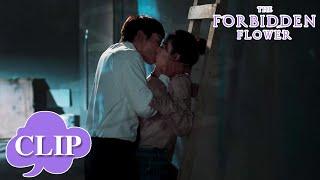 Romantic kiss ! He really wants to make their relationship public | The Forbidden Flower | EP21 Clip