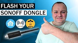 Flash Sonoff Zigbee 3.0 USB Dongle Plus With Python For Use In Home Assistant | pt8