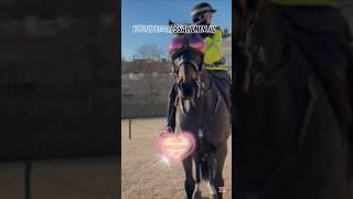 I LOVE KINGSGUARD LIFE #kindness #horse #kingsguard #ressacamental #viralshorts #london #love