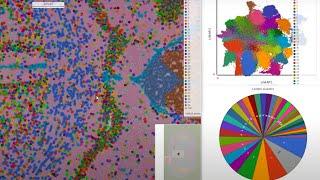 Streamlined and powerful spatial data analysis with Illumina Connected Multiomics