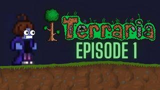 Minecraft pro tries to beat Terraria for the first time | Terraria Part 1