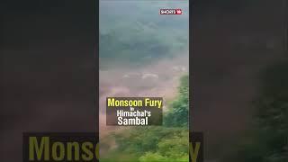 Sambal Flood News | Himachal Pradesh Flood Video | Heavy Rains Cause Floods In Sambal | #shorts