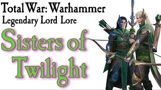 Sisters of Twilight (Naestra & Arahan) Lore*