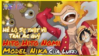 Hé lộ Sự thật về Trái ác quỷ của Luffy Hito Hito Nomi Model Nika | Giàu OP
