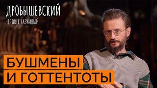 Самые древние народы земли. Как жили бушмены и готтентоты // Дробышевский. Человек разумный