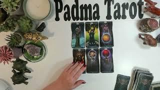 GEMINI ️ EMBRACE YOUR DESTINY!MESSAGES FROM SPIRIT ️Bonus Tarot Reading 