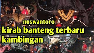 ful kirab banteng kambingan maheso tirta aji"kang srodok" kiwir kiwir, tri maheso #bantengan