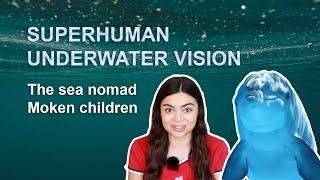 Dolphin Eyes – How Children of the Moken Tribes See Underwater