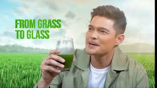 JC ORGANIC BARLEY NEW ZEALAND. Live Healthy, Choose Good life! #DindongDantes