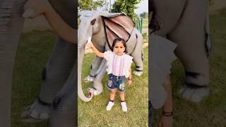 Anaya Or Papa Ne Ki Little Elephant Ki Help 